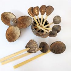 coconut shell craft