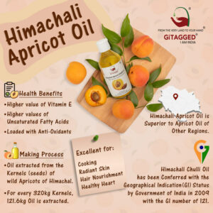 Himachali-Apricot-Oil